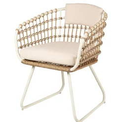 Bones Silla Arena