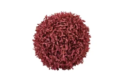 Boxwood Bola De Boj Rojo