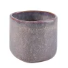 Cassis Taza Morado