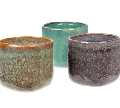 Cassis Taza Morado