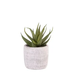 Cement Planta Artificial Gris