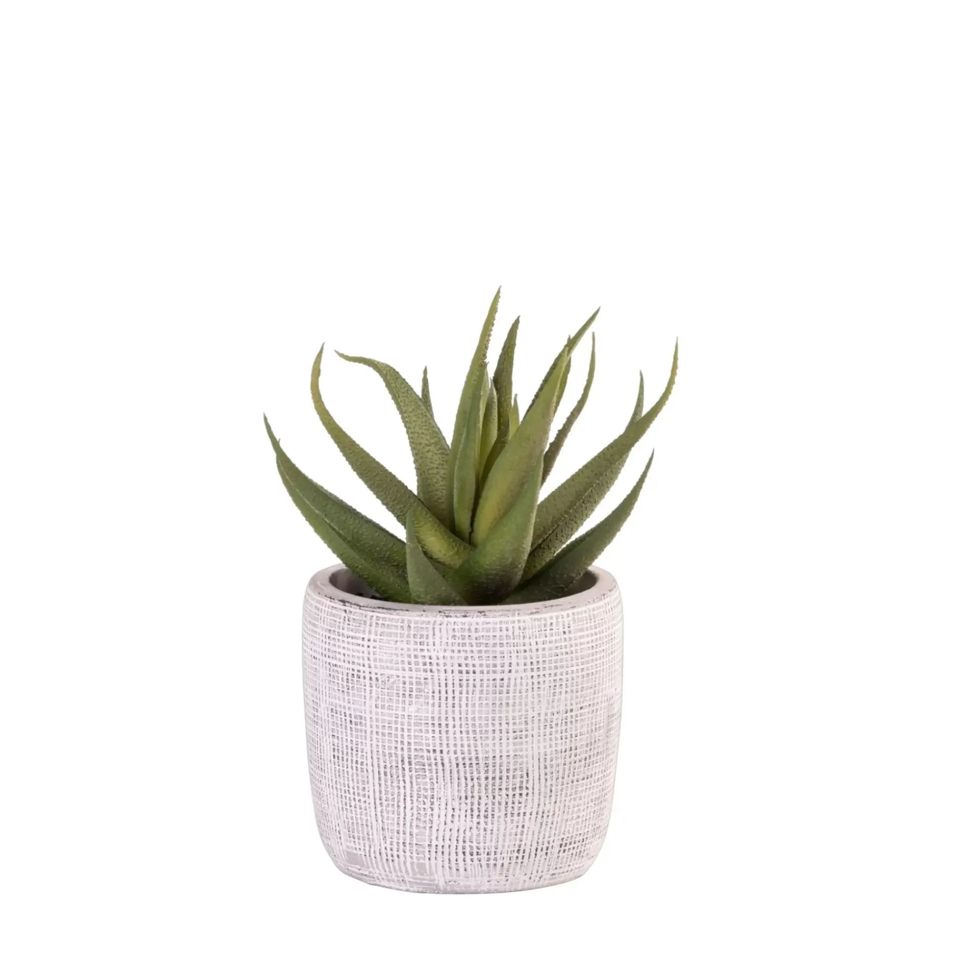 Cement Planta Artificial Gris