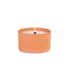 Citronella Bandeja De Terracota Blanco, Verde