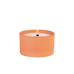 Citronella Bandeja De Terracota Blanco, Verde