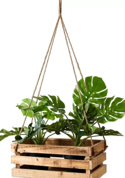 Crate Caja Natural
