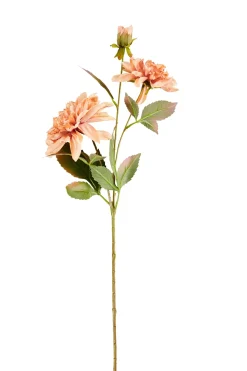 Dahlia Rama De Flores Melocoton