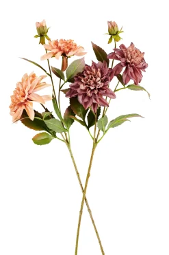 Dahlia Rama De Flores Melocoton