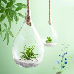Drop Gota De Vidrio Transparente