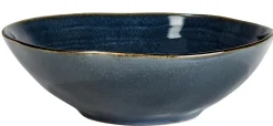 Earth Ocean Plato Hondo Azul
