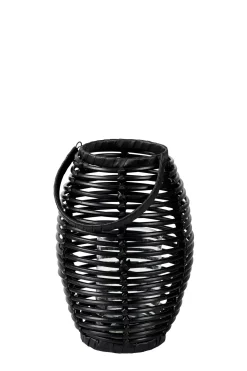 Ellips Farolillo Negro