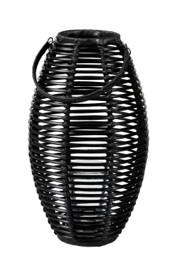 Ellips Farolillo Negro