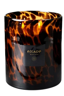 Escape Black Oudh Negro, Marron, Ocre