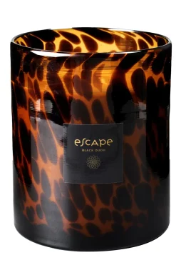 Escape Black Oudh Negro, Marron, Ocre
