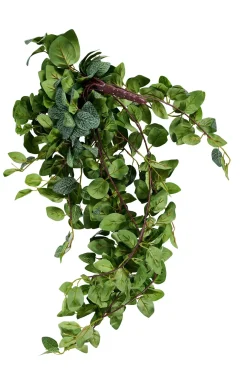 Fittonia Guirnalda De Hojas Verde