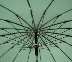 Floria Parasol Caqui