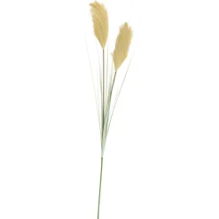 Grass Cana Con Pluma Verde