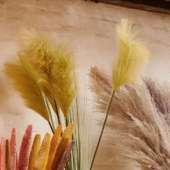 Grass Cana Con Pluma Verde