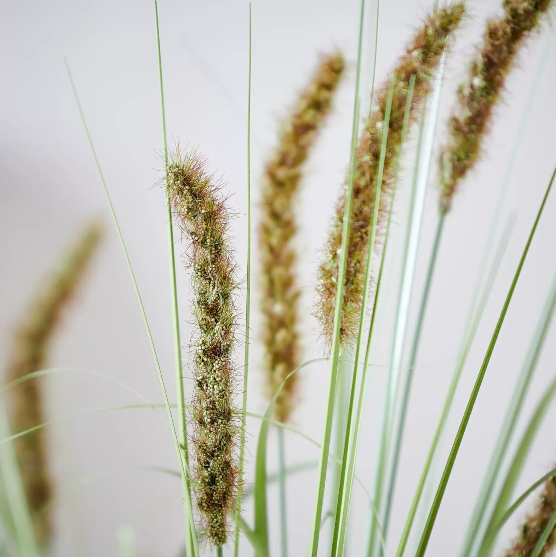 Grass Tallo De Carrizo Artificial Verde