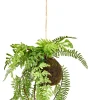 Greenery Macetero Colgante Con Helecho Verde