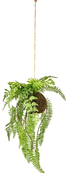 Greenery Macetero Colgante Con Helecho Verde
