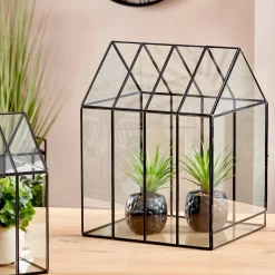 Greenhouse Invernadero Transparente
