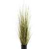 Herba Hierba En Maceta A120Cm Verde