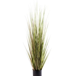 Herba Hierba En Maceta A120Cm Verde