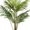 Kwai Palmera Verde