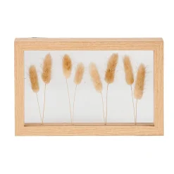 Lagurus Decoracion De Pared Natural