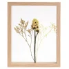 Limonium Decoracion De Pared Natural