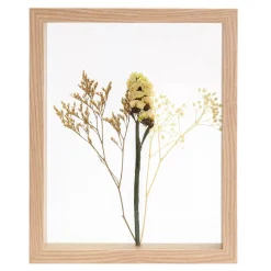 Limonium Decoracion De Pared Natural