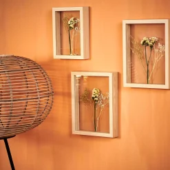 Limonium Decoracion De Pared Natural