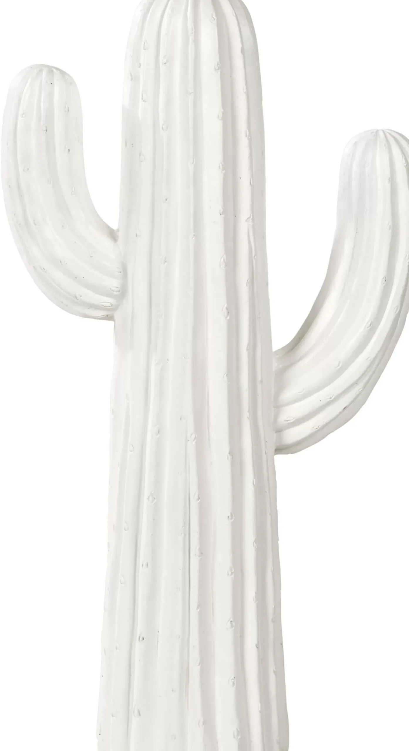 Magnesia Cactus Blanco