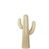 Magnesia Cactus Crema