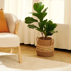 Rayas Cesta S Natural