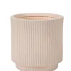 Roma Creme Macetero Crema