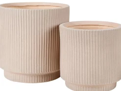 Roma Creme Macetero Crema