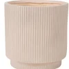 Roma Creme Macetero Crema