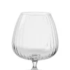 Speakeasies Conac Transparente