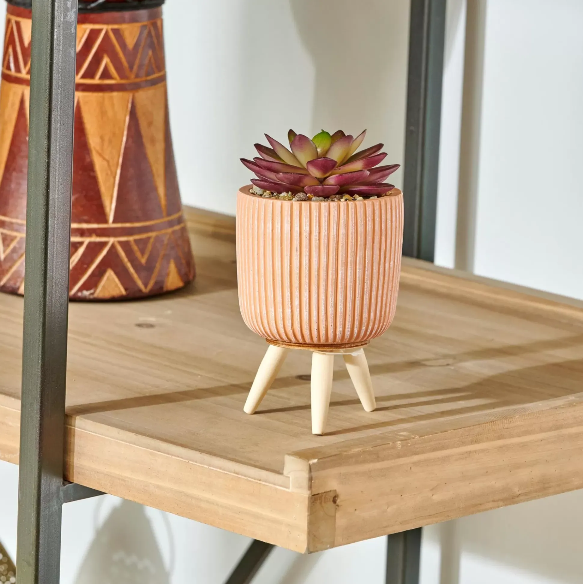 Stripe Planta Crasa Art En Tarro Multicolor