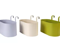 Tanaman Macetero Colgante 3 Colores Verde