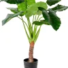 Taro Planta Artificial Aro Verde
