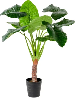 Taro Planta Artificial Aro Verde