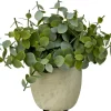 Terra Planta En Maceta Blanco, Verde