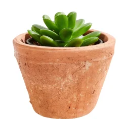 Tierra Macetero Terracota