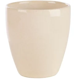 Toko Sand Taza Beis