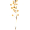 Trifolium Rama De Flores Amarillo