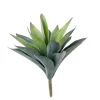 Vera Planta Crasa En Un Palillo Verde