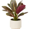 Zebrina Planta Artificial